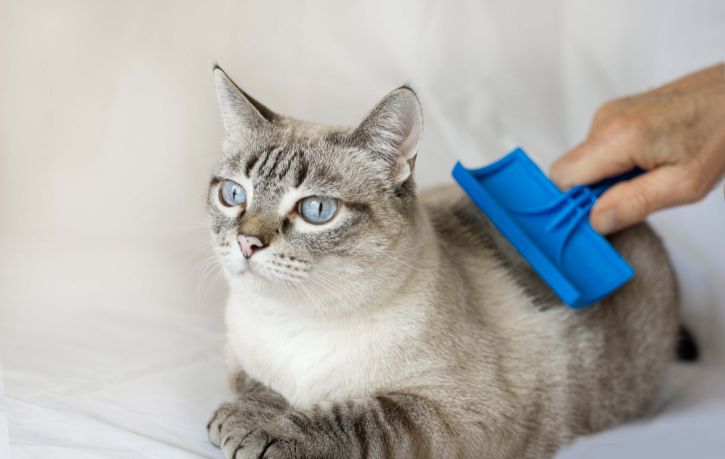 Pak Mane Dual-Sided Dematting Pet Brush