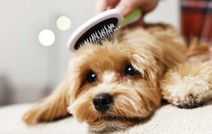 Pak Mane Soft Silicone Bristle Pet Brush