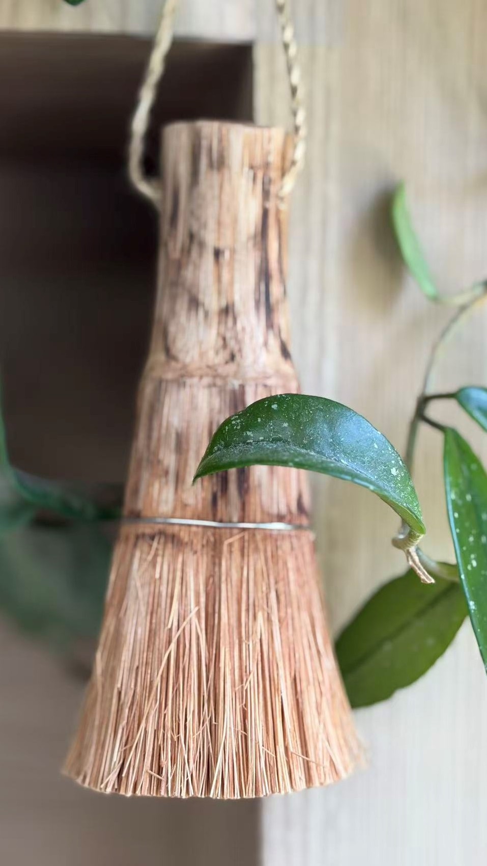 Areca Palm Stem Brush