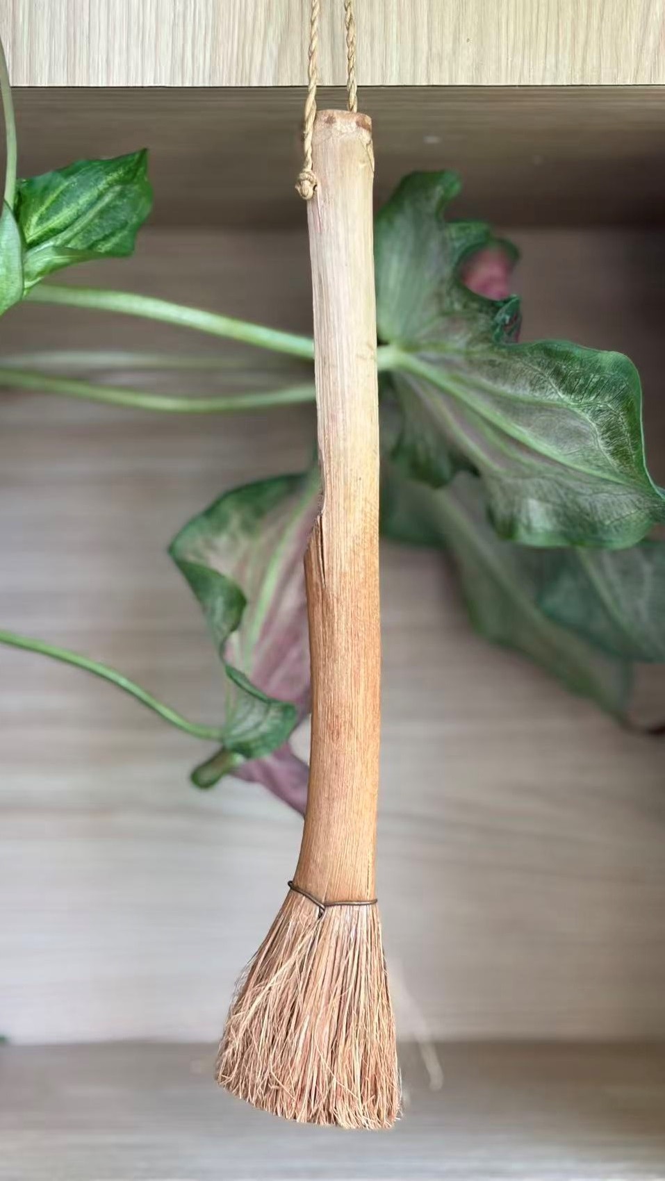 Fan Palm Stem Brush