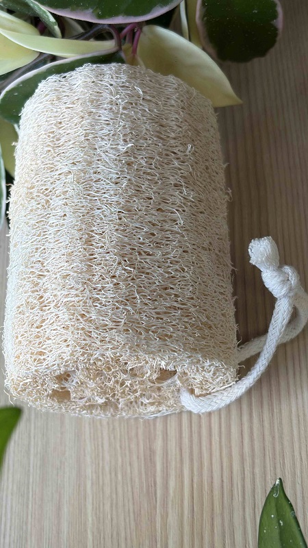 Loofah Brush