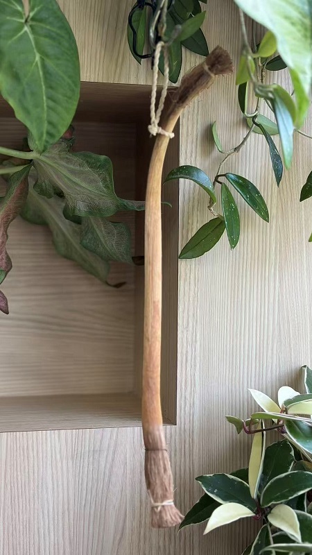 Fan Palm Stem Brush
