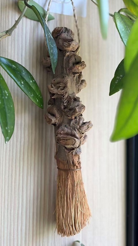 Coconut Peduncle Brush
